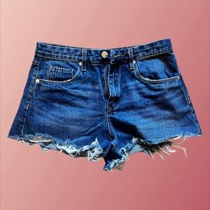 The Barrow Vintage High Rise Short in Insomnia Size 27